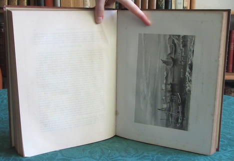 Vues pittoresques de l'Inde, de la Chine, et des bords de la Mer rouge. 2 volumes.. ROBERTS Emma