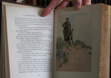 La Maison dans la Dune.. MEERSCH Maxence Van der