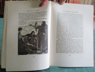 Le Roman de Tristan et Iseut.