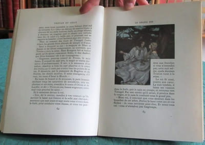 Le Roman de Tristan et Iseut.