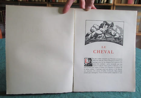 Le cheval. BUFFON G.L. Leclerc de