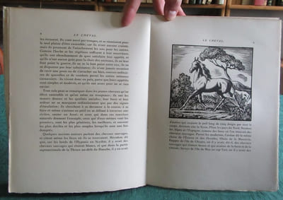 Le cheval