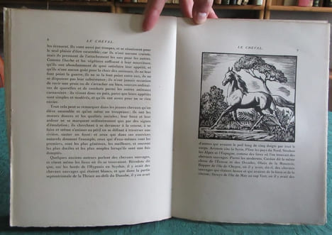 Le cheval. BUFFON G.L. Leclerc de