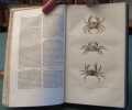 Histoire Naturelle des animaux articulés, Annélides, Crustacés, Arachnides, Myriapodes, et insectes - 4 volumes.. LUCAS - COMTE DE CASTELNAU - ...