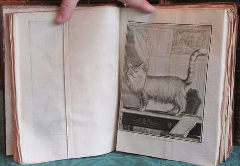Histoire Naturelle Générale et Particulière avec la description du cabinet du roi - 17 premiers volumes in-4°. BUFFON G.L. Leclerc de