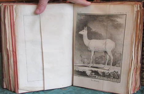Histoire Naturelle Générale et Particulière avec la description du cabinet du roi - 17 premiers volumes in-4°. BUFFON G.L. Leclerc de