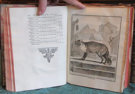 Histoire Naturelle Générale et Particulière avec la description du cabinet du roi - 17 premiers volumes in-4°. BUFFON G.L. Leclerc de