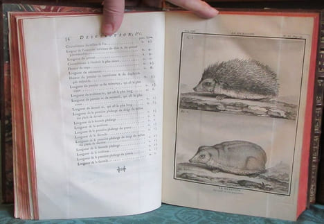 Histoire Naturelle Générale et Particulière avec la description du cabinet du roi - 17 premiers volumes in-4°. BUFFON G.L. Leclerc de