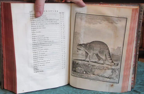 Histoire Naturelle Générale et Particulière avec la description du cabinet du roi - 17 premiers volumes in-4°. BUFFON G.L. Leclerc de