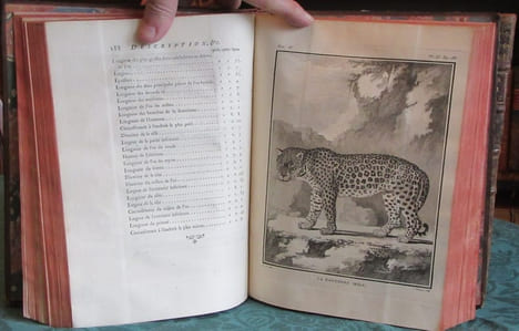 Histoire Naturelle Générale et Particulière avec la description du cabinet du roi - 17 premiers volumes in-4°. BUFFON G.L. Leclerc de