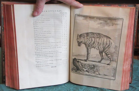 Histoire Naturelle Générale et Particulière avec la description du cabinet du roi - 17 premiers volumes in-4°. BUFFON G.L. Leclerc de