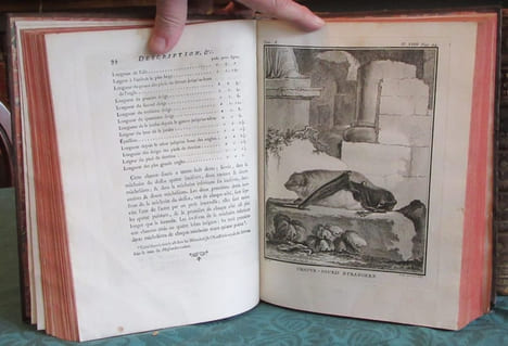 Histoire Naturelle Générale et Particulière avec la description du cabinet du roi - 17 premiers volumes in-4°. BUFFON G.L. Leclerc de