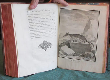 Histoire Naturelle Générale et Particulière avec la description du cabinet du roi - 17 premiers volumes in-4°. BUFFON G.L. Leclerc de