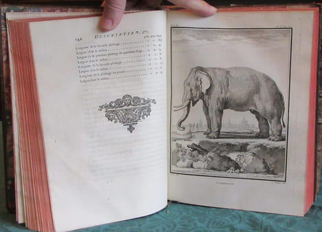 Histoire Naturelle Générale et Particulière avec la description du cabinet du roi - 17 premiers volumes in-4°. BUFFON G.L. Leclerc de