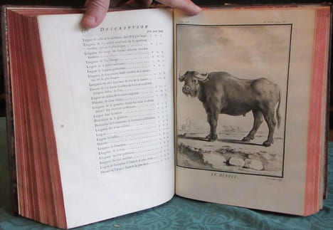 Histoire Naturelle Générale et Particulière avec la description du cabinet du roi - 17 premiers volumes in-4°. BUFFON G.L. Leclerc de