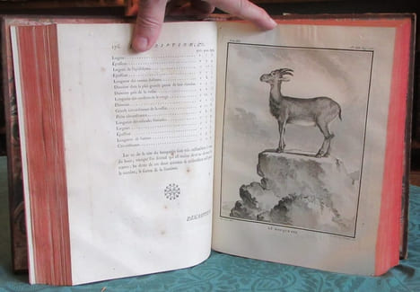 Histoire Naturelle Générale et Particulière avec la description du cabinet du roi - 17 premiers volumes in-4°. BUFFON G.L. Leclerc de