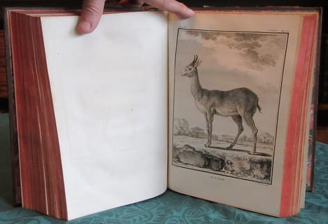 Histoire Naturelle Générale et Particulière avec la description du cabinet du roi - 17 premiers volumes in-4°. BUFFON G.L. Leclerc de