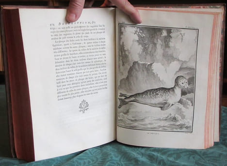 Histoire Naturelle Générale et Particulière avec la description du cabinet du roi - 17 premiers volumes in-4°. BUFFON G.L. Leclerc de
