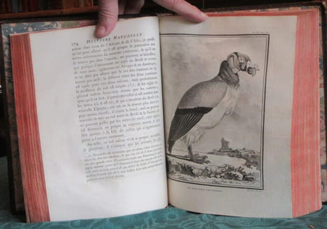Histoire Naturelle Générale et Particulière avec la description du cabinet du roi - 17 premiers volumes in-4°. BUFFON G.L. Leclerc de