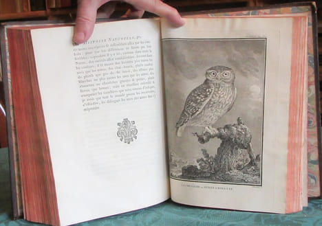 Histoire Naturelle Générale et Particulière avec la description du cabinet du roi - 17 premiers volumes in-4°. BUFFON G.L. Leclerc de