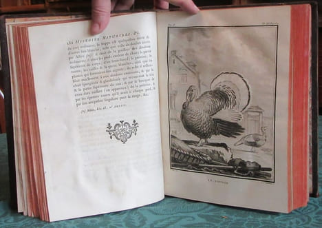 Histoire Naturelle Générale et Particulière avec la description du cabinet du roi - 17 premiers volumes in-4°. BUFFON G.L. Leclerc de