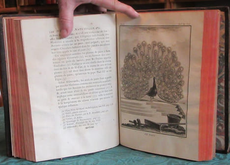 Histoire Naturelle Générale et Particulière avec la description du cabinet du roi - 17 premiers volumes in-4°. BUFFON G.L. Leclerc de