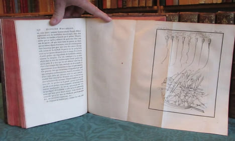 Histoire Naturelle Générale et Particulière avec la description du cabinet du roi - 17 premiers volumes in-4°. BUFFON G.L. Leclerc de