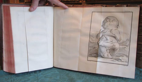 Histoire Naturelle Générale et Particulière avec la description du cabinet du roi - 17 premiers volumes in-4°. BUFFON G.L. Leclerc de