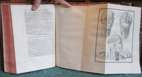 Histoire Naturelle Générale et Particulière avec la description du cabinet du roi - 17 premiers volumes in-4°. BUFFON G.L. Leclerc de