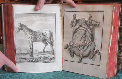 Histoire Naturelle Générale et Particulière avec la description du cabinet du roi - 17 premiers volumes in-4°. BUFFON G.L. Leclerc de
