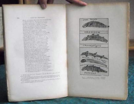 Journal de la Société des Américanistes de Paris. Tome 23 (fasc. 2).. COLLECTIF