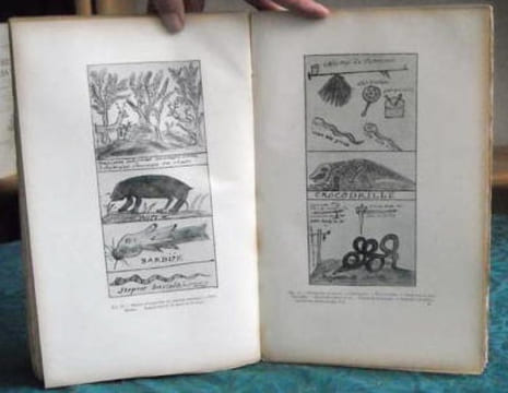 Journal de la Société des Américanistes de Paris. Tome 23 (fasc. 2).. COLLECTIF