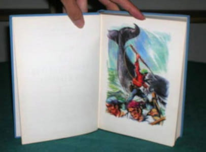 La grande aventure des baleines.