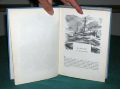 La grande aventure des baleines.