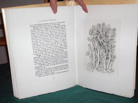 La verte Hélène.. DEVAUX Pierre