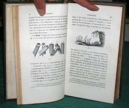 Botanique et Physiologie végétale.. JEHAN