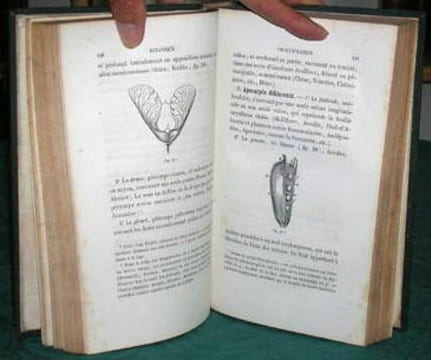 Botanique et Physiologie végétale.. JEHAN