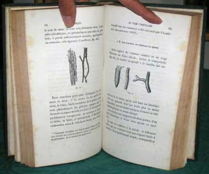Botanique et Physiologie végétale.. JEHAN
