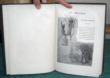 La Mésange.