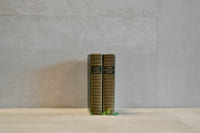 Oeuvres Complètes (Poésie + Prose)