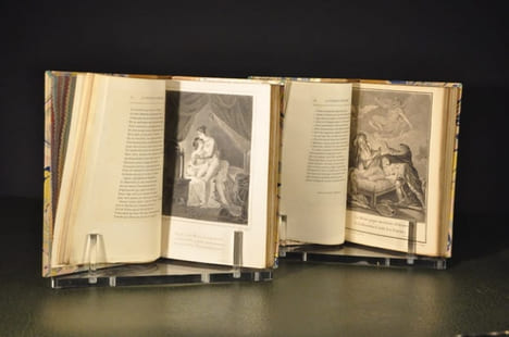 La Pucelle d'Orléans, poëme, divisé en vingt chants, avec des notes. Nouvelle édition, corrigée, augmentée & collationnée sur le Manuscript de ...