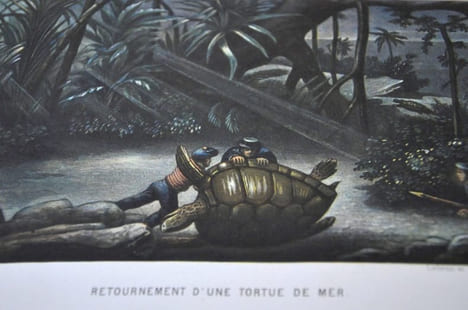 Le Monde de la Mer.. Frédol (Alfred) [Moquin-Tandon (Alfred)].