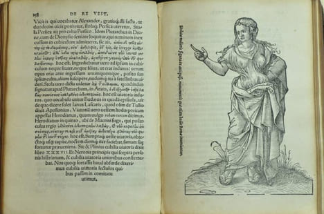 Annotationes in L.II. De Captivis & postliminio reversis : in quibus tractatur de Re Navali. Per autorem recognitae eiusdem annotationes in tractarum ...