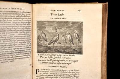 Emblemata Florentii Schoonhovii I.C. Goudani, Partim Moralia partim etiam Civilia. Cum latiori eorundem ejufdem Auctoris interpretatione. Accedunt et alia quaedam Poëmatia in alijs Poema : tum fuorum libris non contenta.