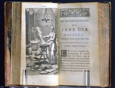 Les Métamorphoses ou l’Âne d'Or. Traduites en François avec des Remarques & des Figures à chaque livre et Le Démon de Socrate du même autheur.. Apulée