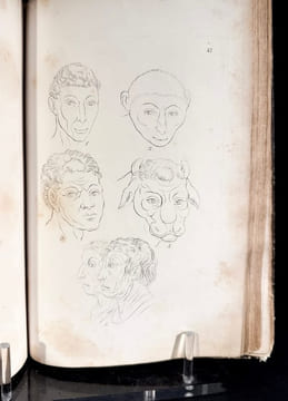 La Physiognomie ou l'Art de connaitre les hommes d'après les traits de leurs physionomie. LAVATER