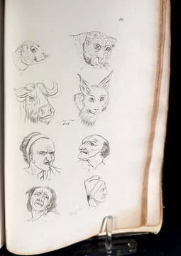La Physiognomie ou l'Art de connaitre les hommes d'après les traits de leurs physionomie. LAVATER