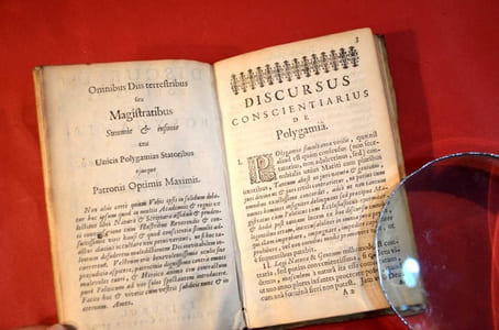 Discursus politicus de polygamia