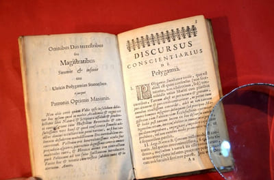 Discursus politicus de polygamia