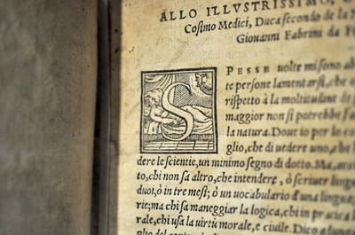 IL TERENTIO LATINO Comentatio in Lingua Toscana, e ridotto ˆ la sua vera latinitˆ, à i Generosi, e Manganimi Signori Don Francesco, e Don Giovanni Medici, da Giovanni Fabrini da Fighine Fiorentino.
